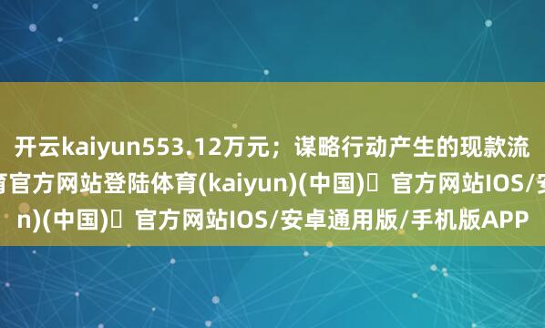 开云kaiyun553.12万元；谋略行动产生的现款流量净额为-3-开yun体育官方网站登陆体育(kaiyun)(中国)❥官方网站IOS/安卓通用版/手机版APP