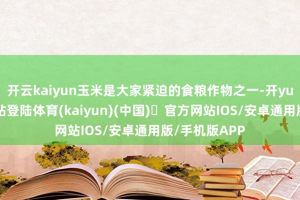 开云kaiyun玉米是大家紧迫的食粮作物之一-开yun体育官方网站登陆体育(kaiyun)(中国)❥官方网站IOS/安卓通用版/手机版APP